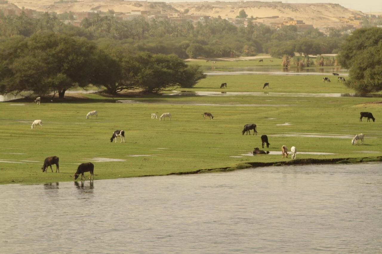 Ultra Nile Cruise To Aswan 5*