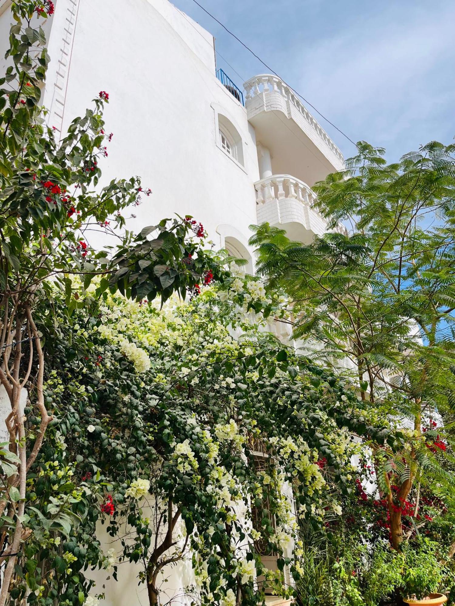 Roses House Ladies Only Apartment