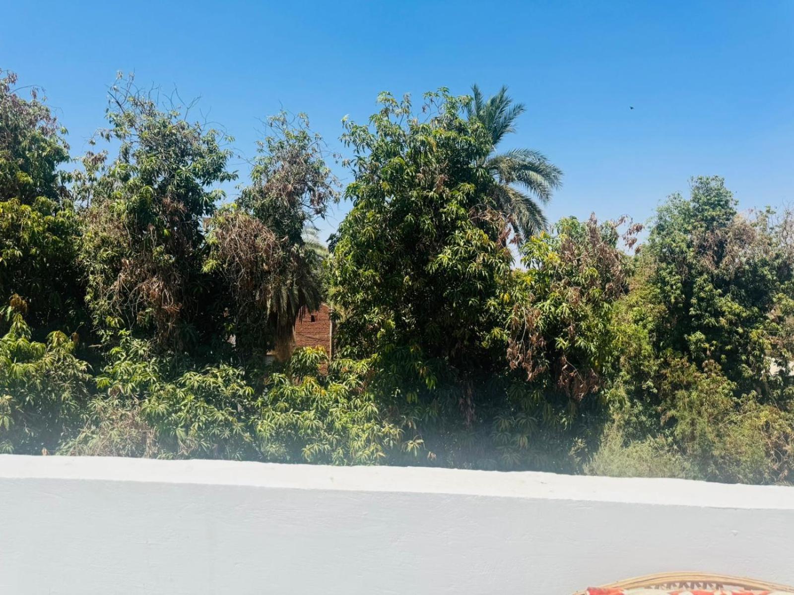 Seko Kato Nile View