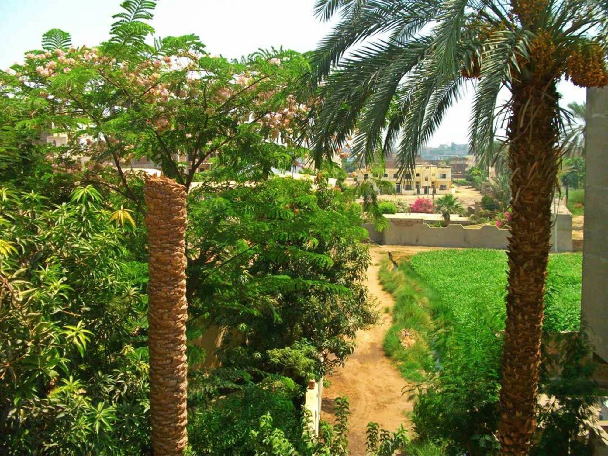 Farida * Luxor