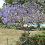 Stella Di Mare