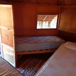 Bedouin Star