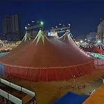 شقة مفروشة لك وحدك قريبة من مكتبة الاسكندرية