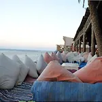 Penguin Village Dahab