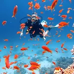 Deep Blue Divers Hostel Dahab