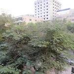 Amazing Maadi Apartment