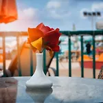 Riviera Beach Chalets