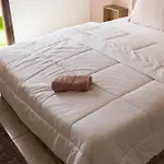 Alex Rooms