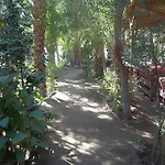 Nour El Gourna