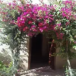 Nour El Gourna