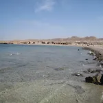 Roots Red Sea