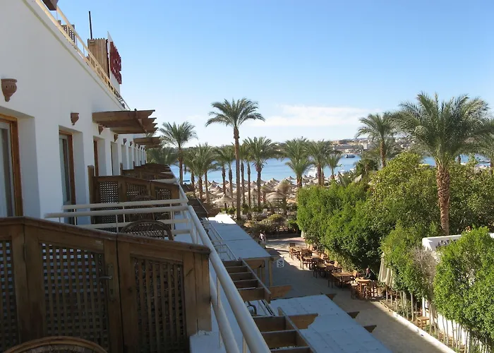 Oonas Dive Club