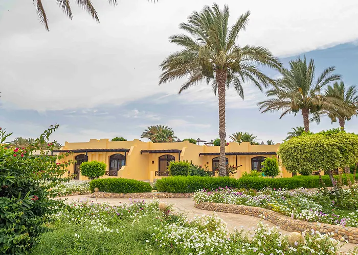 Blend Elphistone Resort Marsa Alam