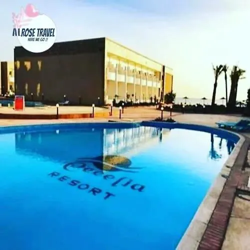 Cecelia Resort Challet