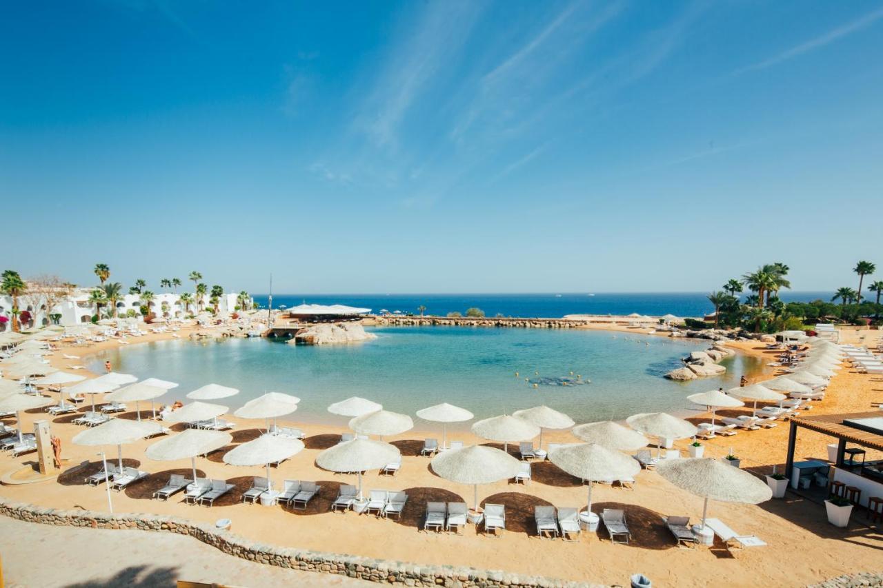Domina King's & 5* Sharm el-Sheikh