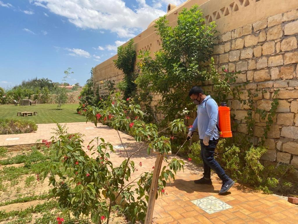 El Dikka Agri Lodge Izbat an Namus