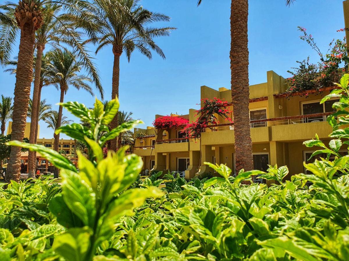 Palm Families And Couples Only Resort