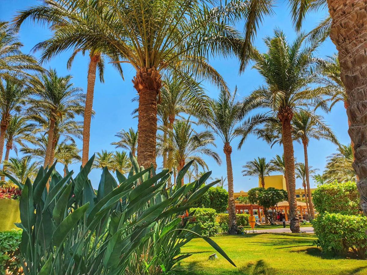 Palm Families And Couples Only 4*