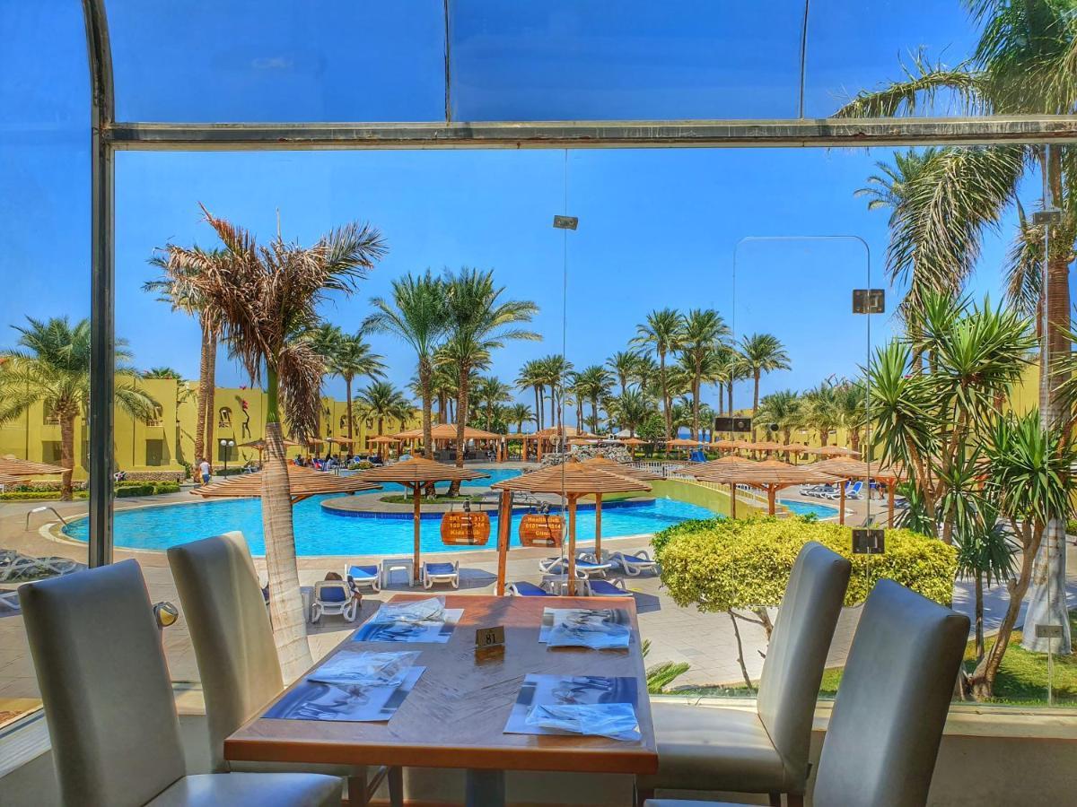 Palm Families And Couples Only Resort Hurghada