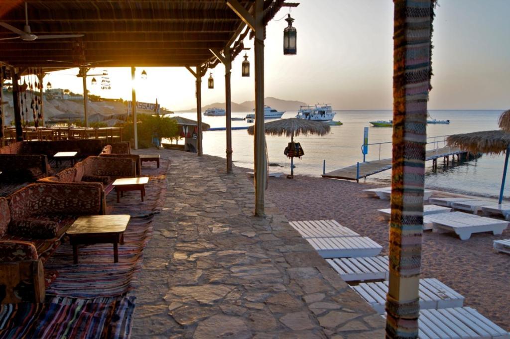 Umbi Sharks Bay Diving Village Complex 3*