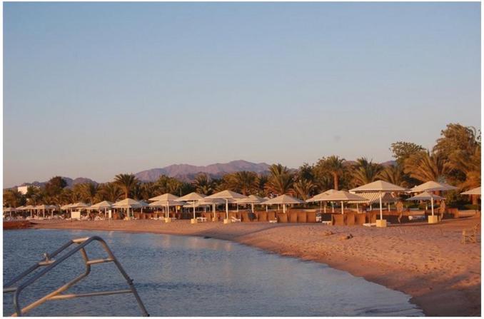 Menaville 4* Safaga