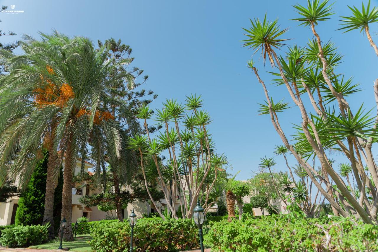 Resort Marhaba Port Said