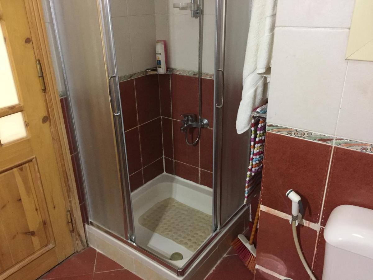 Sharks Bay Oasis Apartament *