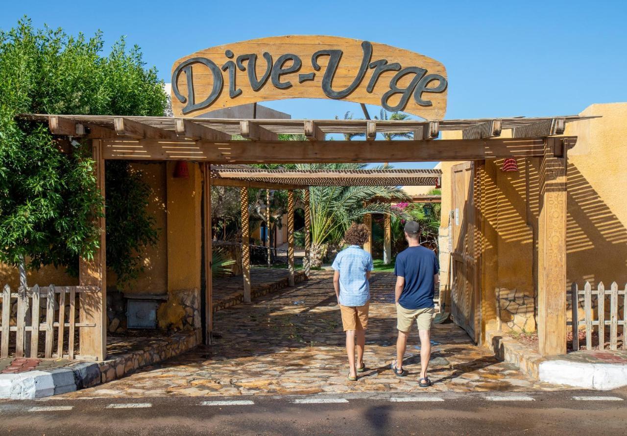 Dive Urge 3*