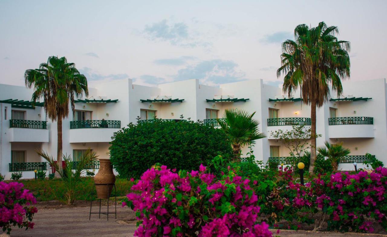 Resort Coral Beach Montazah (adults Only)