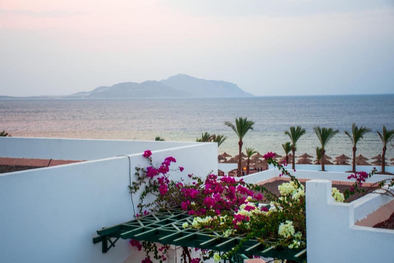 Resort Coral Beach Montazah (adults Only)