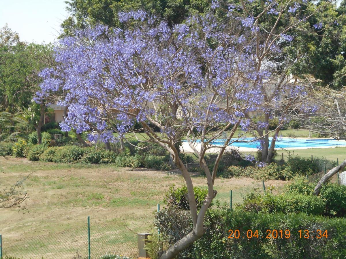 Stella Di Mare Apartment
