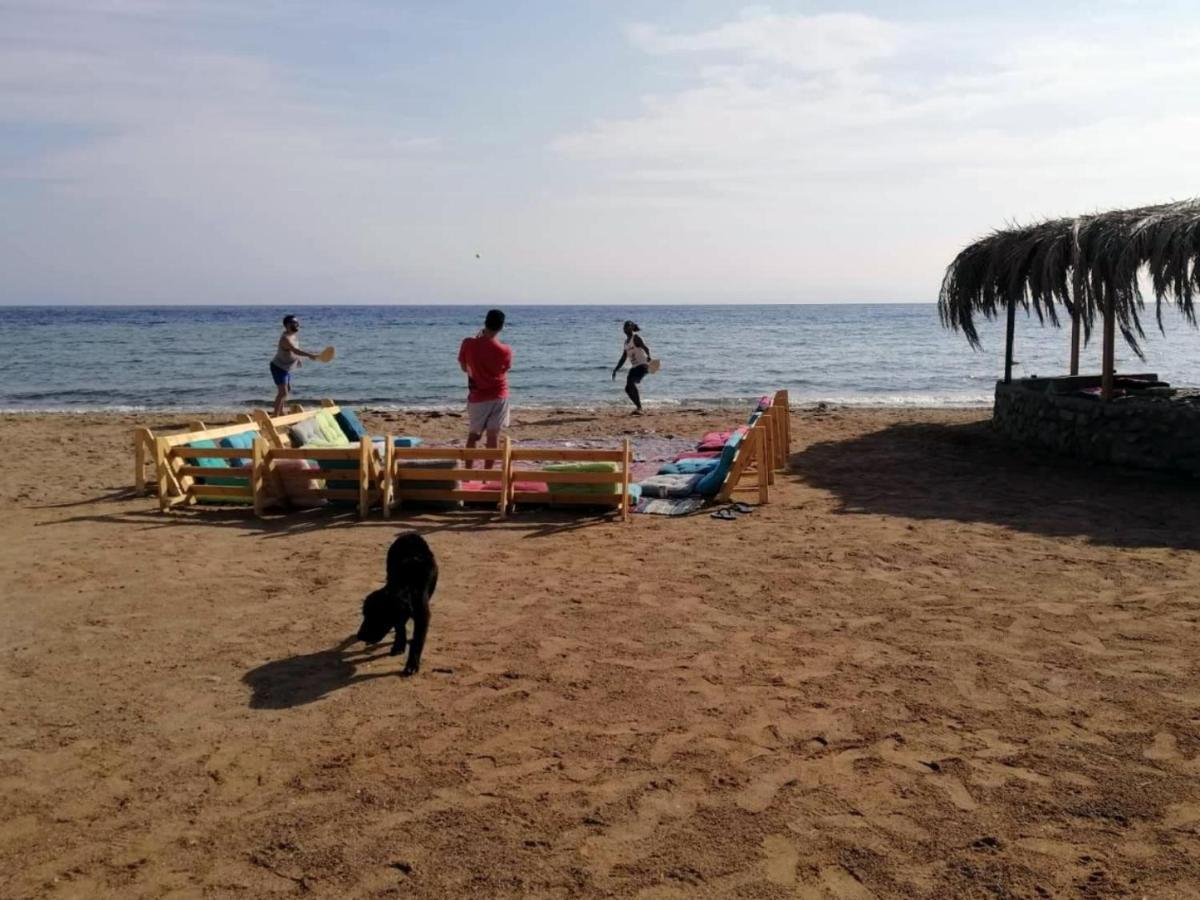 Lodge Falak Taba