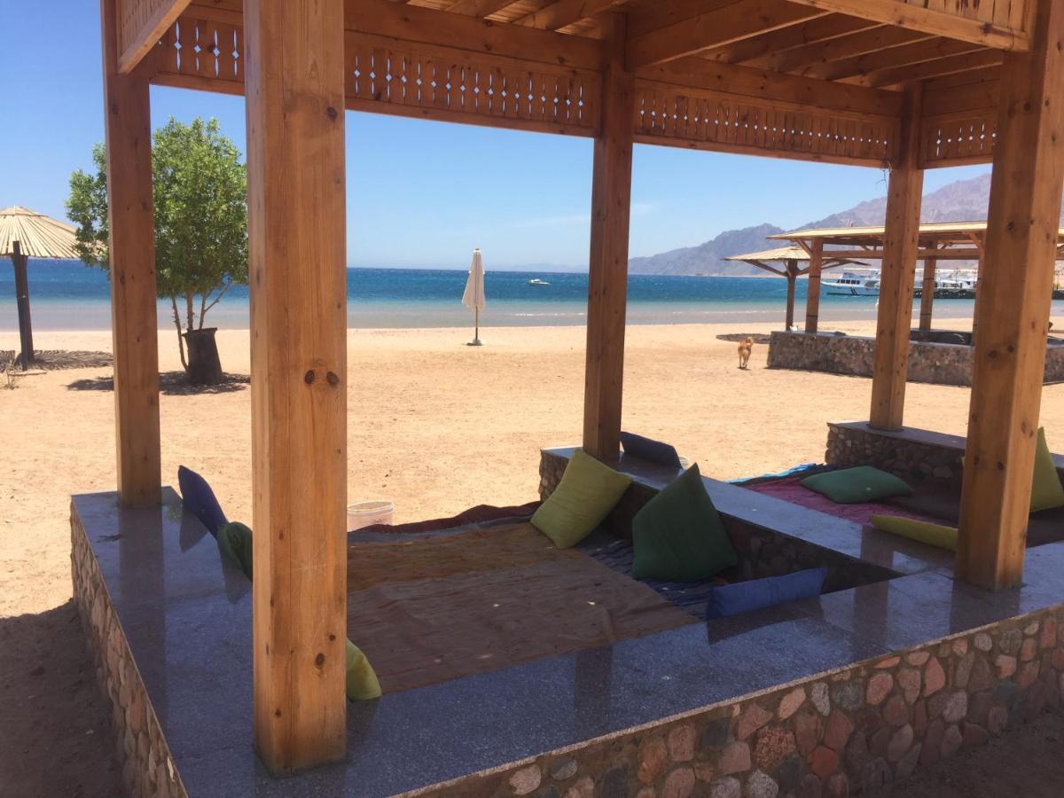 Octopus - Lagoon Dahab