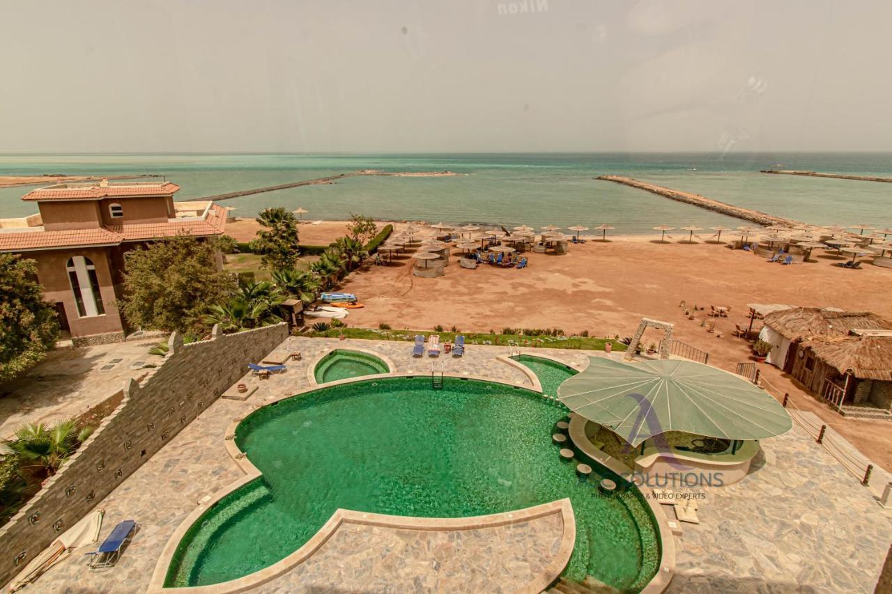 Seaview Turtles Hurghada
