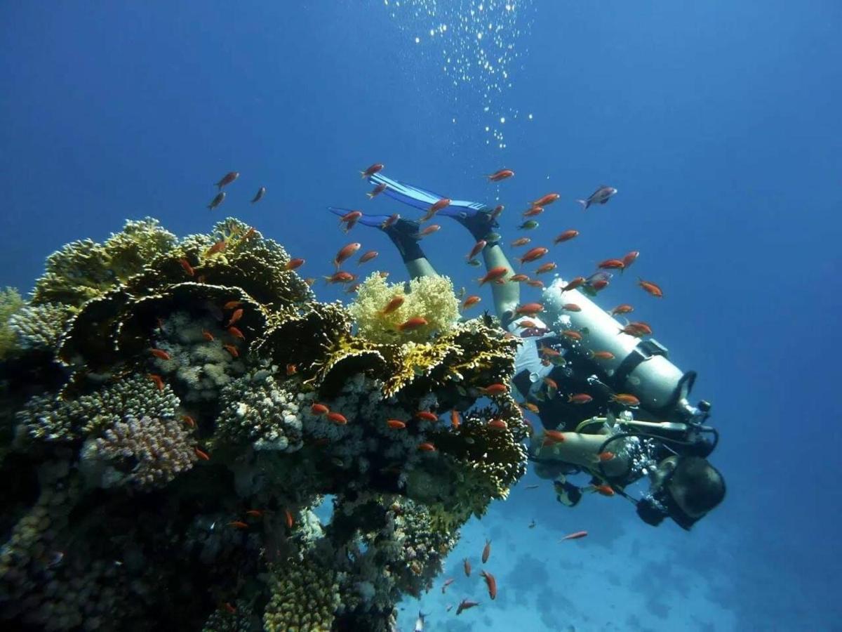 Chic 1 * Sharm el-Sheikh