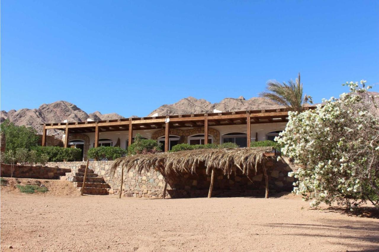 Sea View At Canyon Estate Dahab