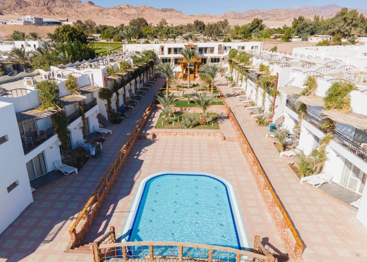 Panda Hotel 3*