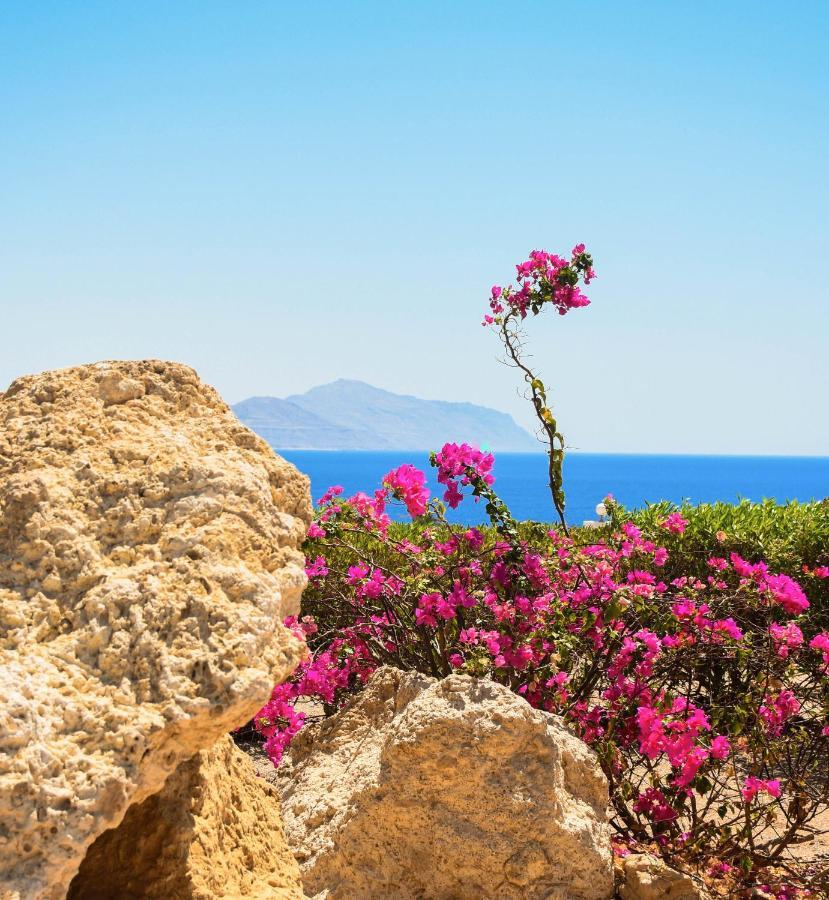 Resort Coral Beach Montazah (adults Only) 4*