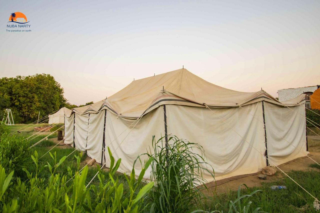 Guest house Nuba Narty 3*