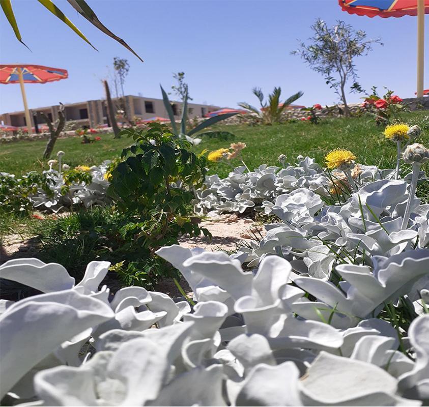 Hawaii Paradise Aqua Park - Families And Couples Only Resort Hurghada