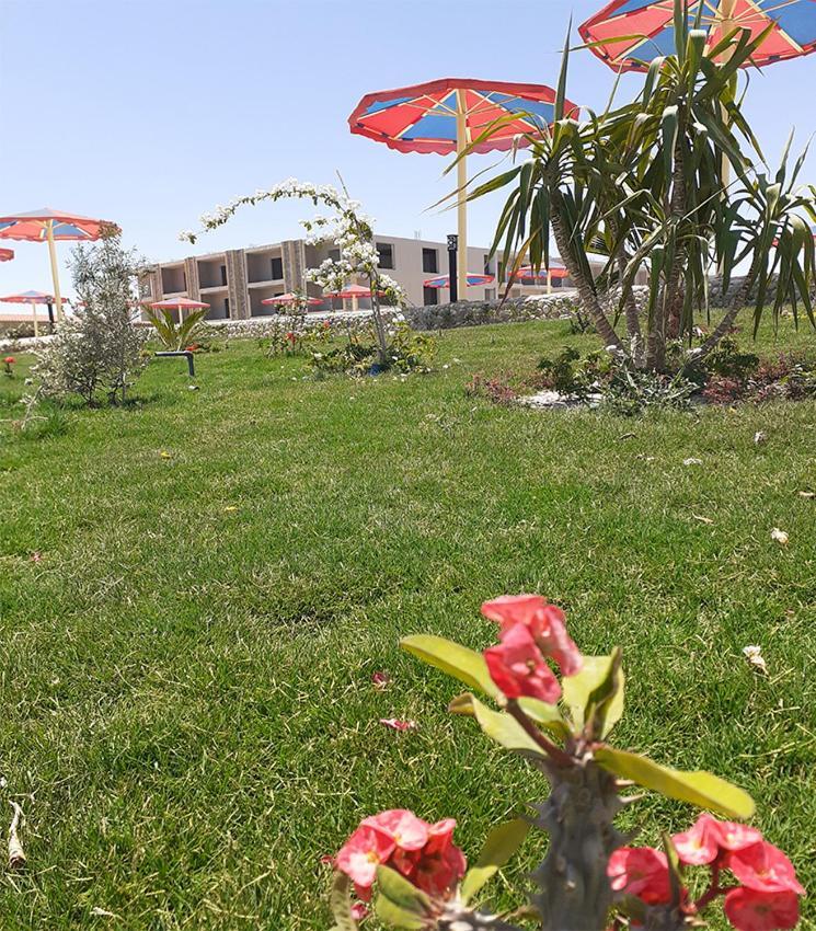 Resort Hawaii Paradise Aqua Park - Families And Couples Only Hurghada