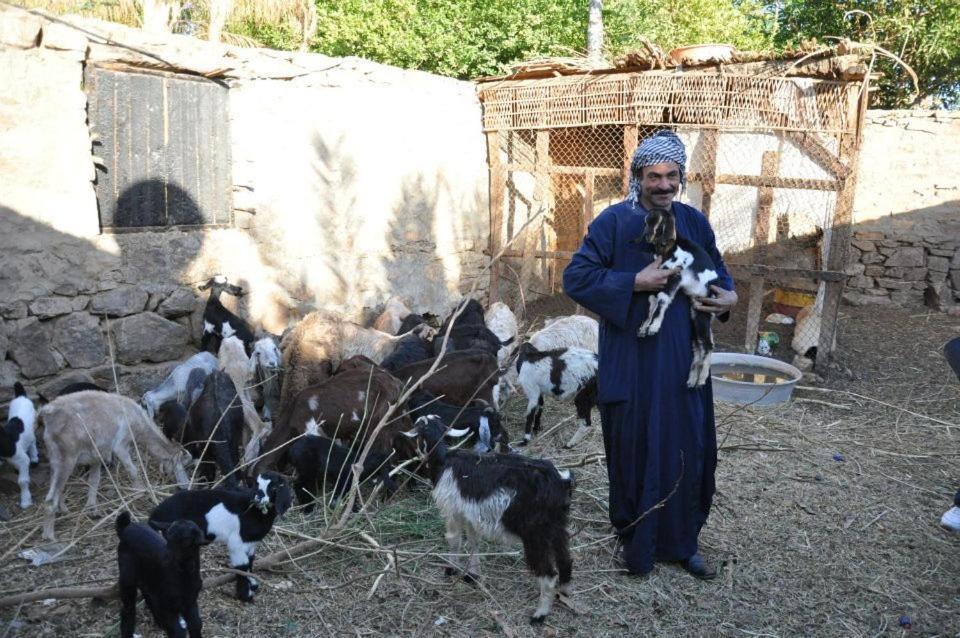 Farm stay Nubian Farm