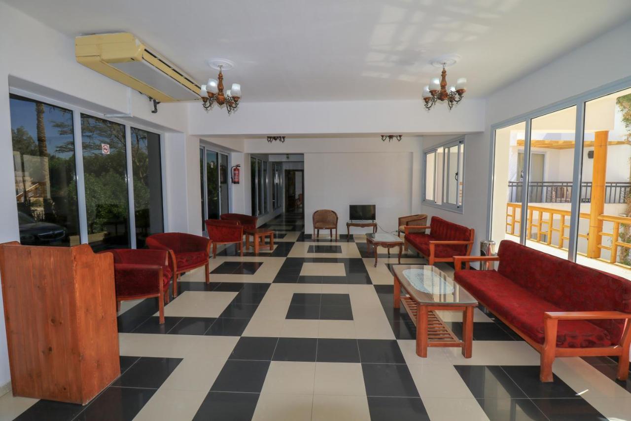 Panda Hotel