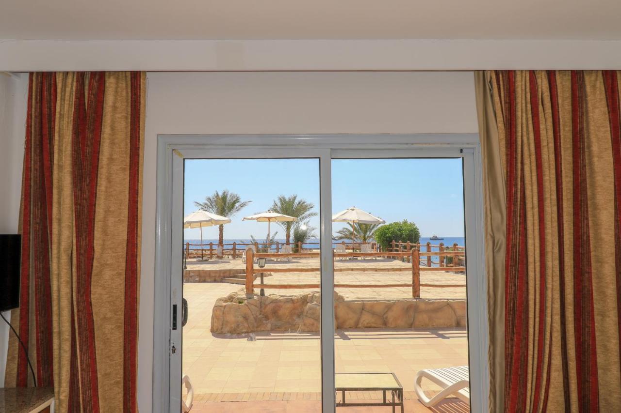 Panda Dahab