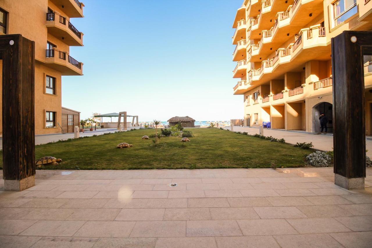 Seaview Turtles Apartment *