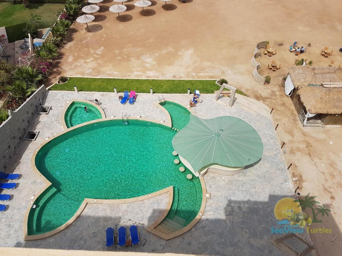 Seaview Turtles Hurghada