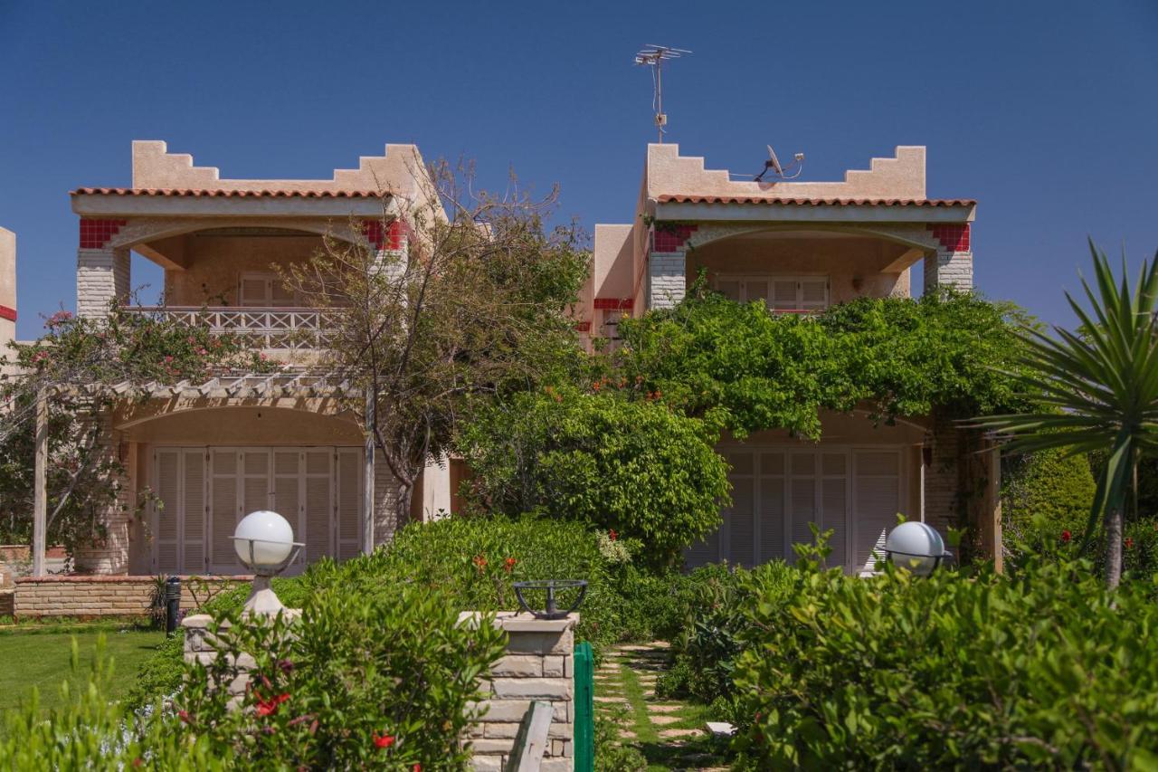 Villas Petro El Alamein