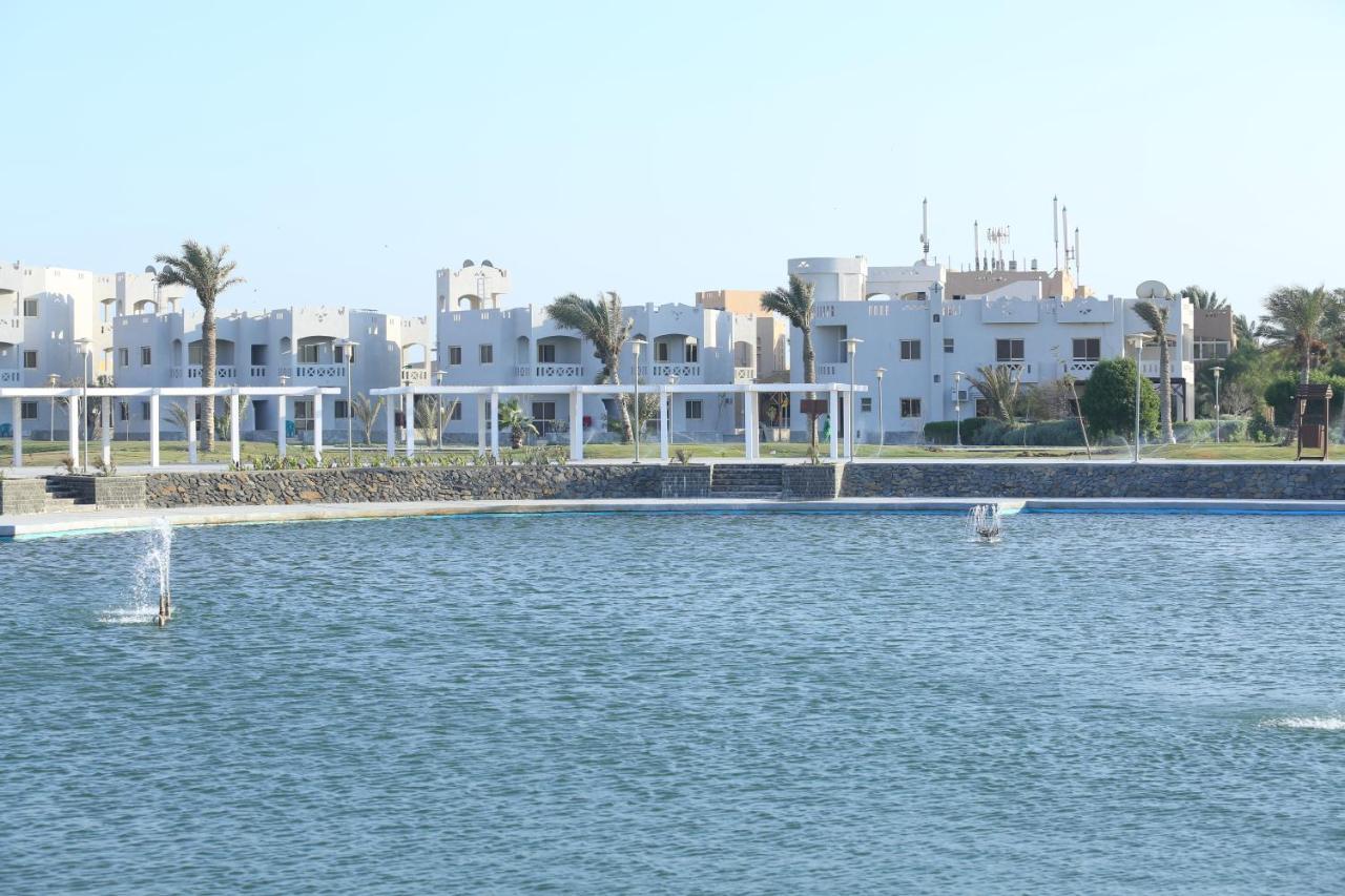 Mousa Coast & Ras Sedr