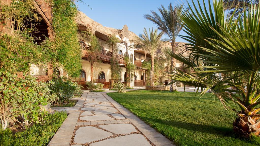 Paradise 3* Dahab