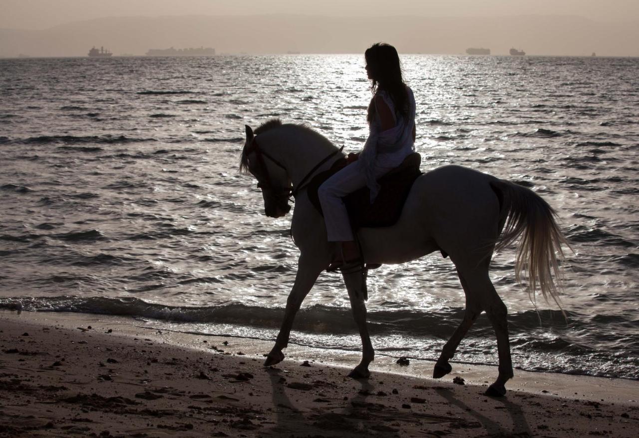 Mousa Coast & *